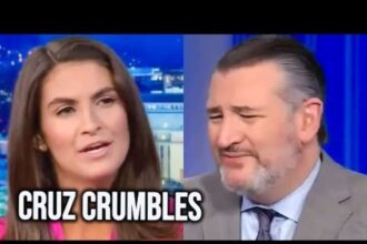 Kaitlan colins and ted cruz