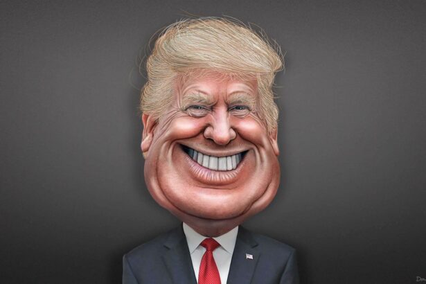 Donald trump caricature