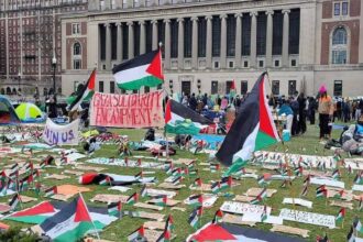 Columbia university campus protest against the war in gaza
