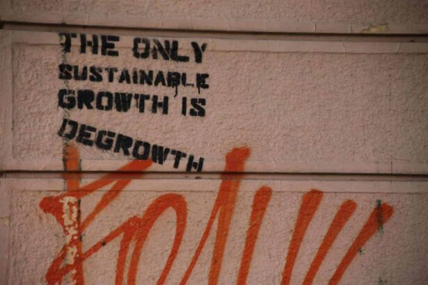 Text on a a all that says the only sustainable growth is degrowth