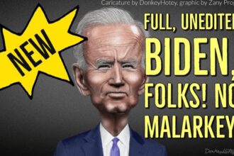 Joe biden caricature in
