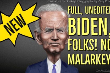 Joe biden caricature in