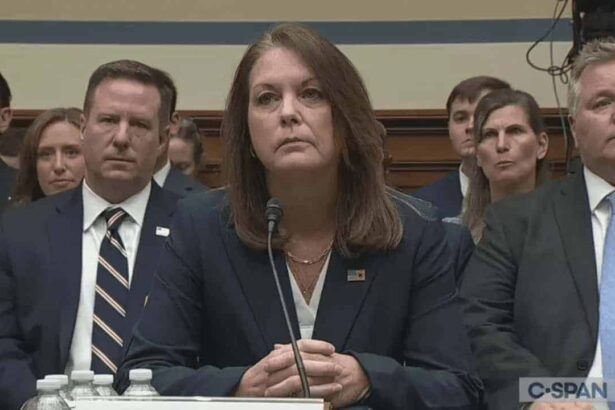 Secret service director in congress for hearing
