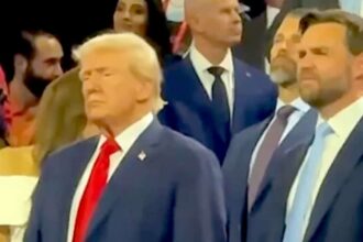 Jdvance and donald trump