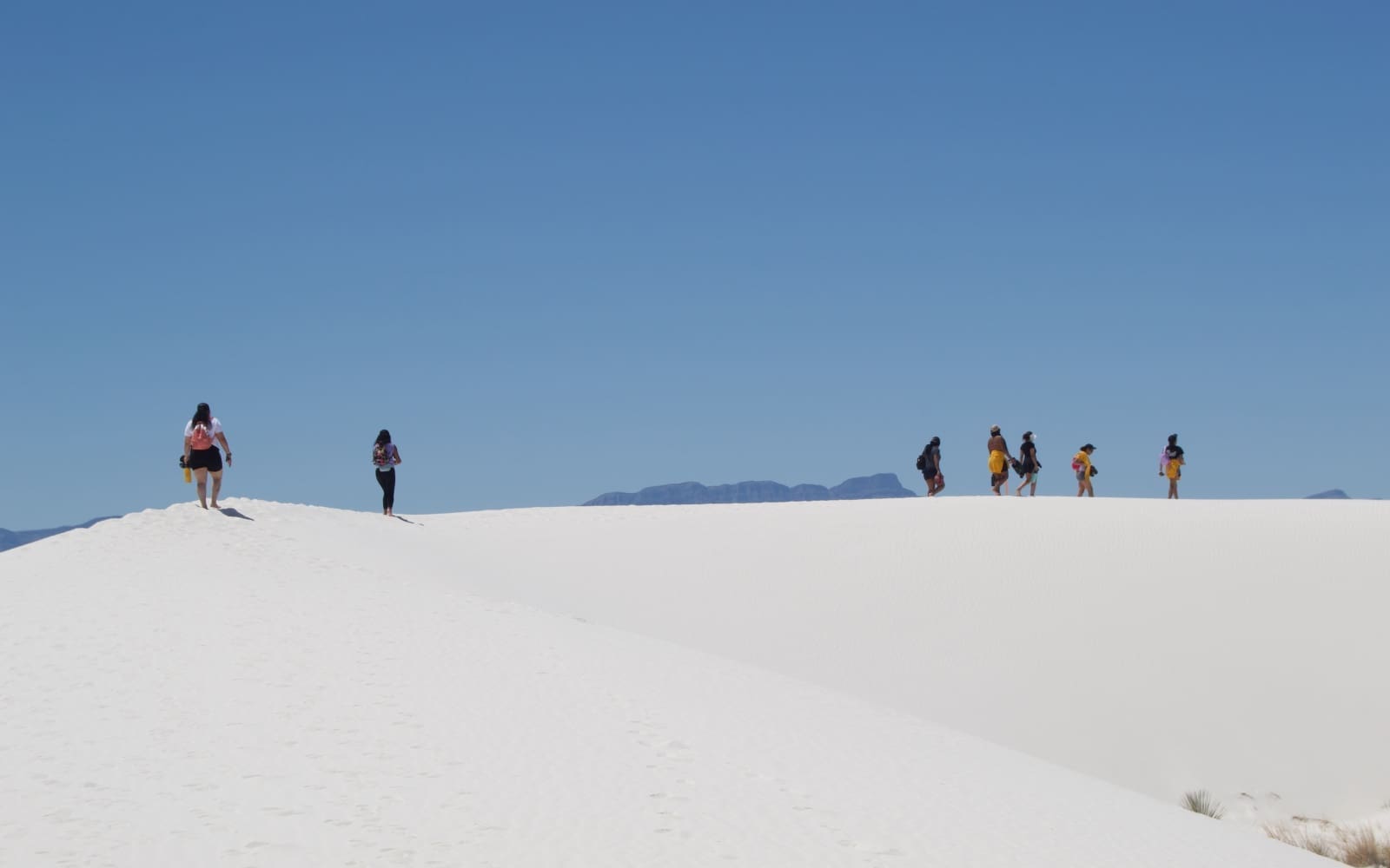 Bloom Project is adapting to the extreme weather