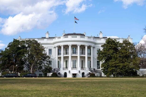 The white house