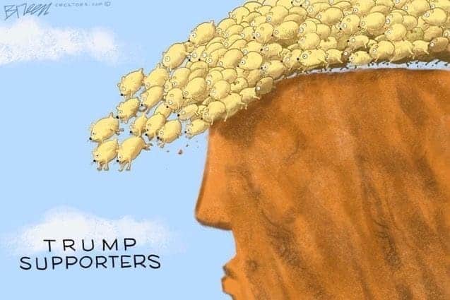 Summer lee anti-dei bill cartoon side view of trump's face is a cliff and his hair is made up of sheep running off the cliff