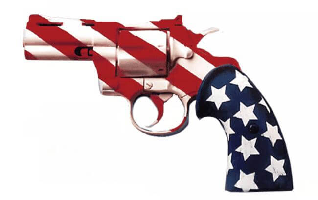 Second amendment gun