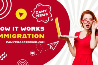 Youtube video cover on how immigration works