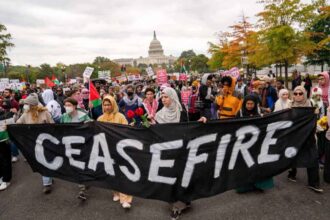 Young progressives of sacramento march for ceasefire between israel and gaza.