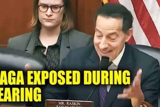 Jamie raskin during a congressional hearing