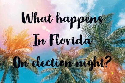 Florida graphic with photo looking up at palm trees with the sun shining