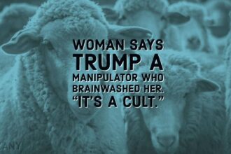 Flock of sheep with blue tint