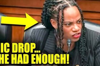 Representative summer lee schools james comer on dei