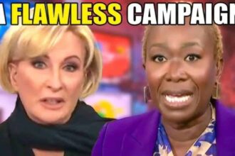 Mika and Joy from MSNBC