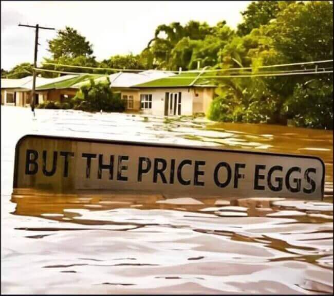 img 8858 You voted for a republicans a sign in flood waters submerged with only the very top showing and it says, “but the price of eggs. ”