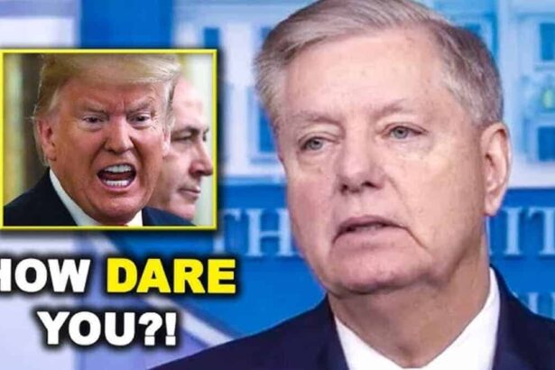 Senator lindsey graham and donald trump