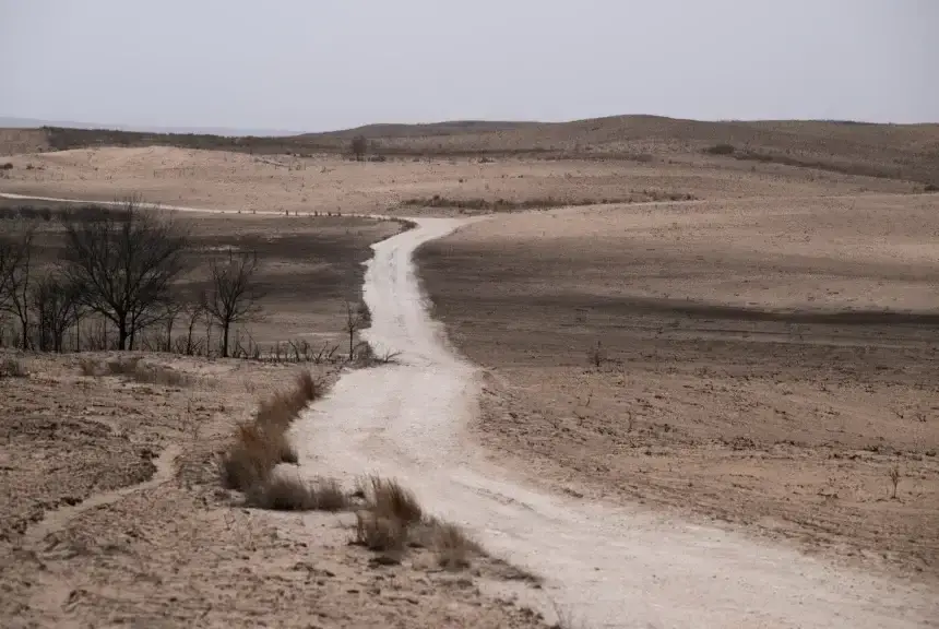 Charred ground in Texas
