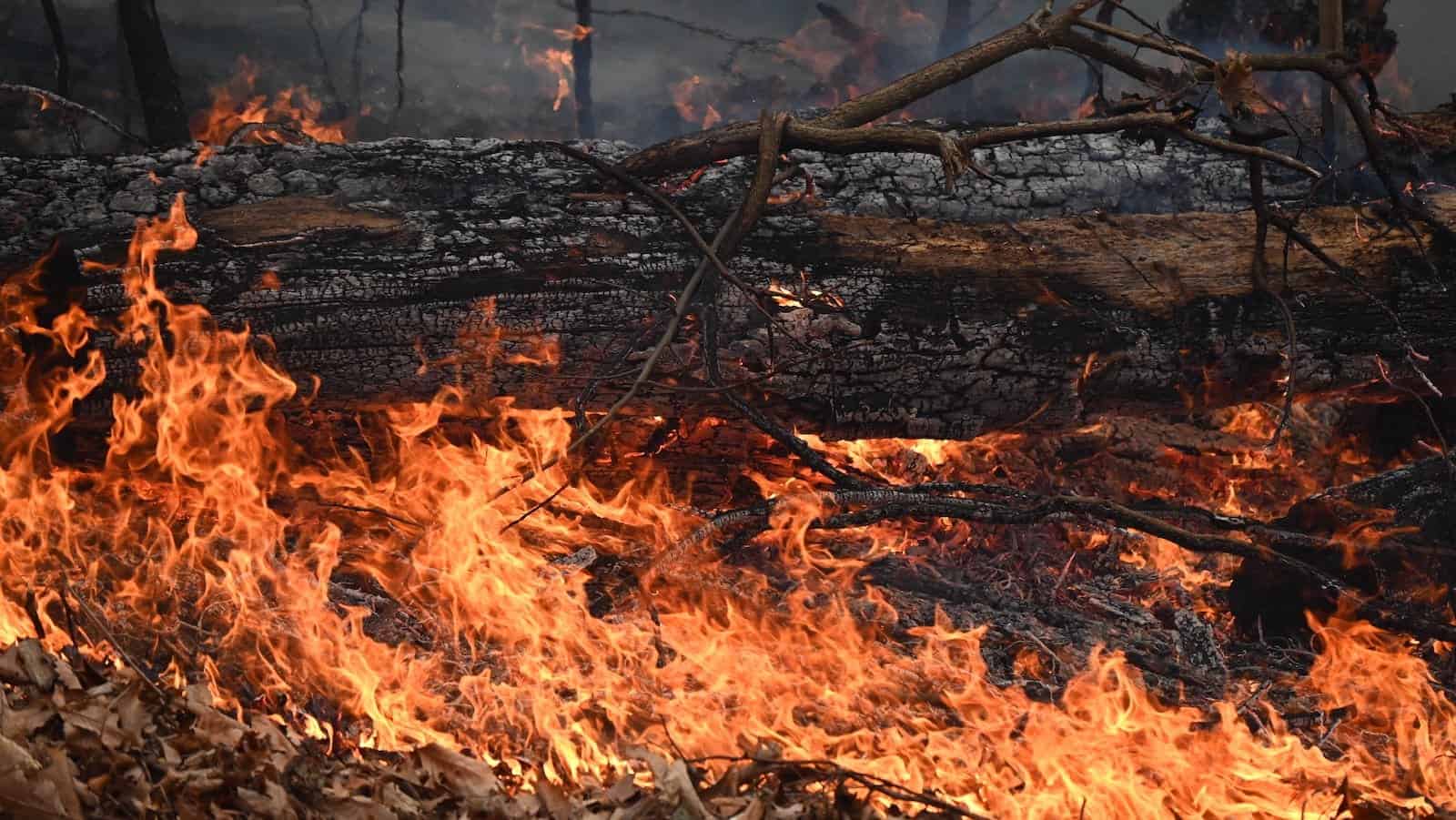 New York wildfire caused by a drought.