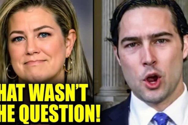 Cnn host and trump ally