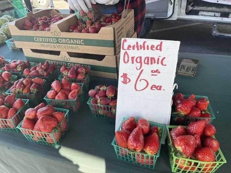 Strawberry stand at the napa farmers market