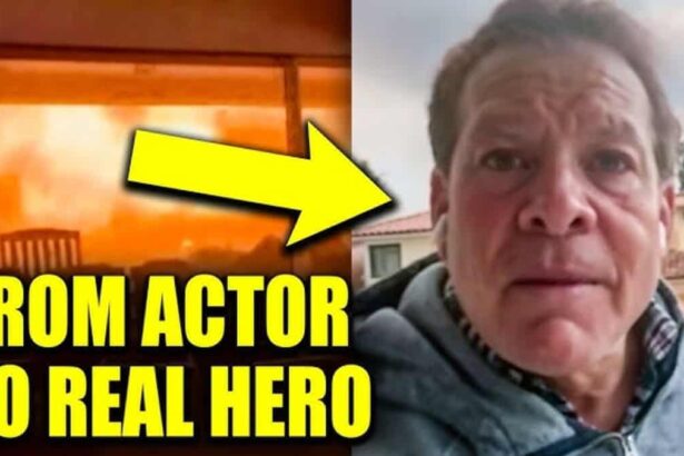 La wildfires and the actor who saved lives in his community