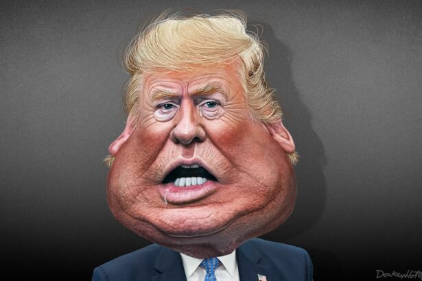 Caricature of donald trump