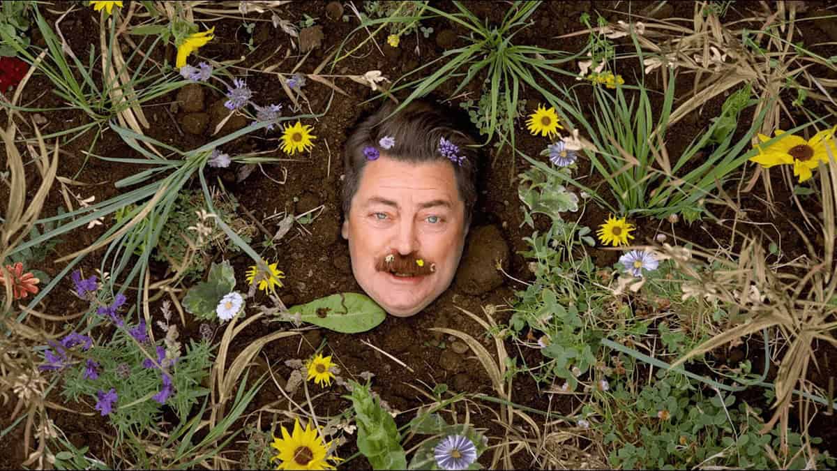Comedian mimics growing out of the dirt with only his face showing surrounded by wildflowers