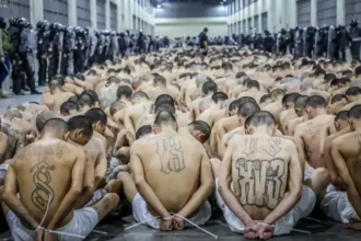 Prisoners in el salvador mega prison