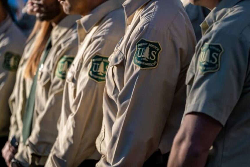 Us forest service officers