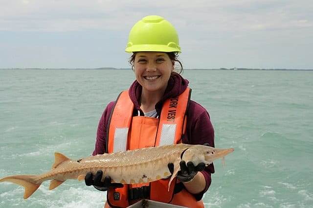 EPA scientist holding a fish from The Great Lakes