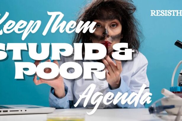 Keep them stupid and poor agenda graphic