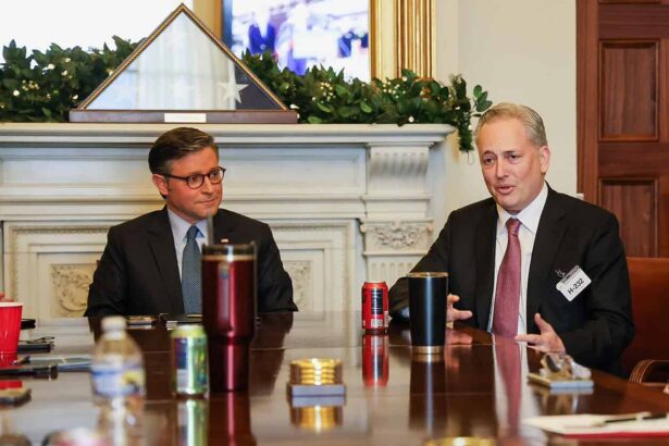 Speaker mike johnson and trump’s crypto czar