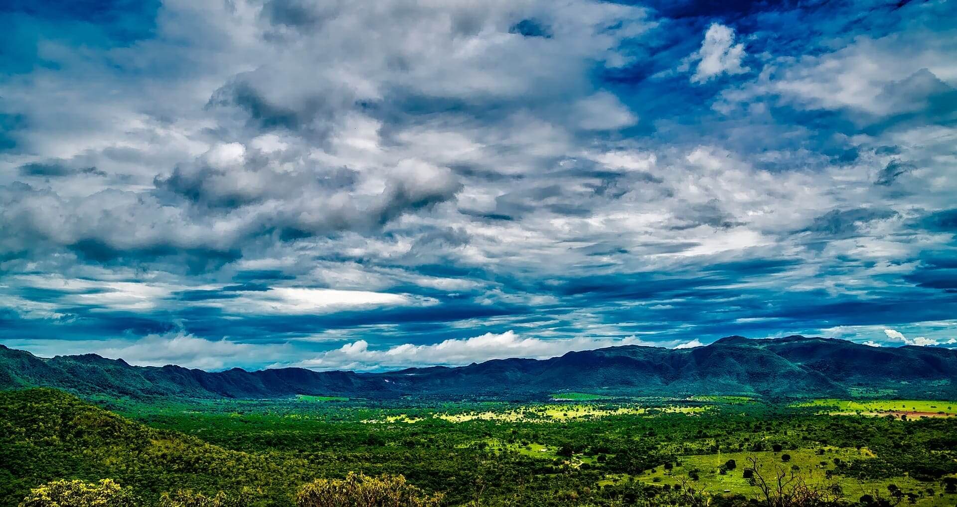 View of the forests in brazil