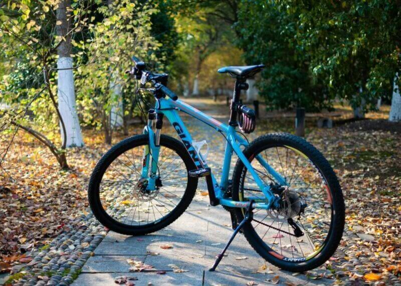 Forced labor in taiwan at high-end bicycle brands