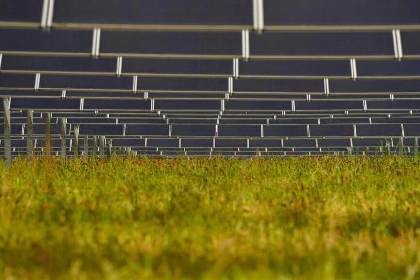 Solar panels on a farm