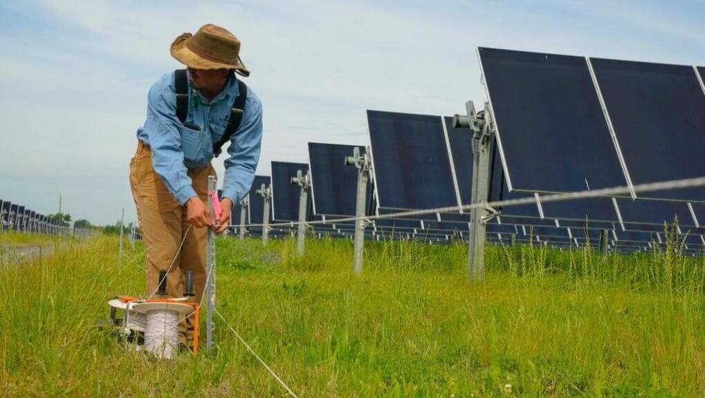 Farmer in the field next to solar panels