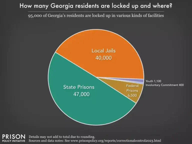 Pie cchart of georgia prison statistics