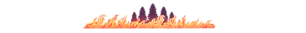 Forest fire separator graphic