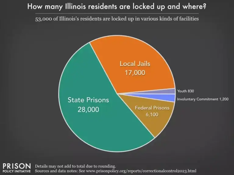 Illinois prison statistics pie chart