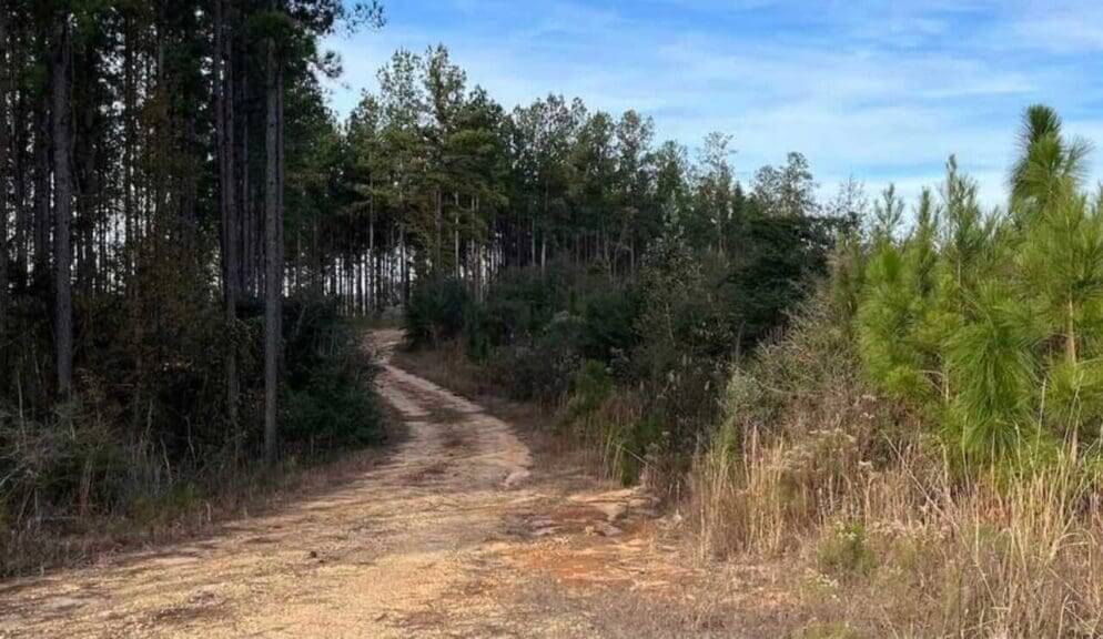 Green hydrogen projects in Mississippi