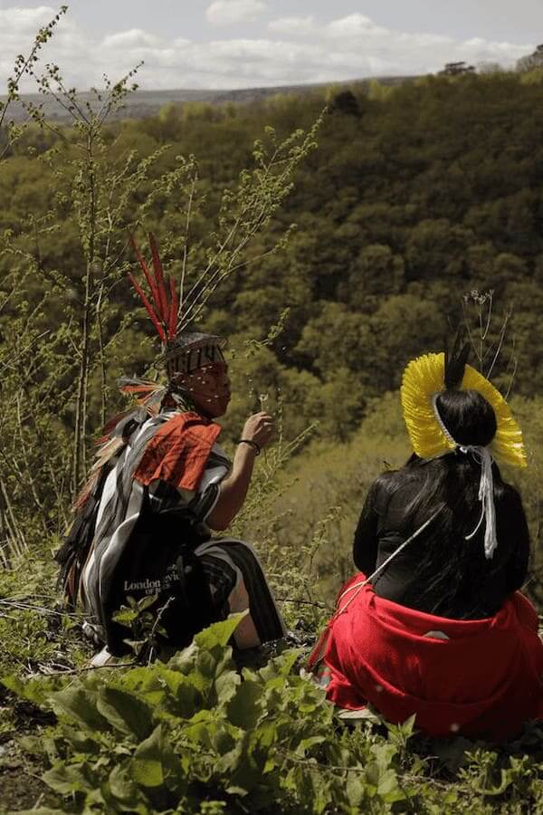 People working to save the rainforest