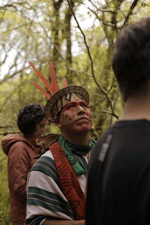 Activists working together to save the rainforest.