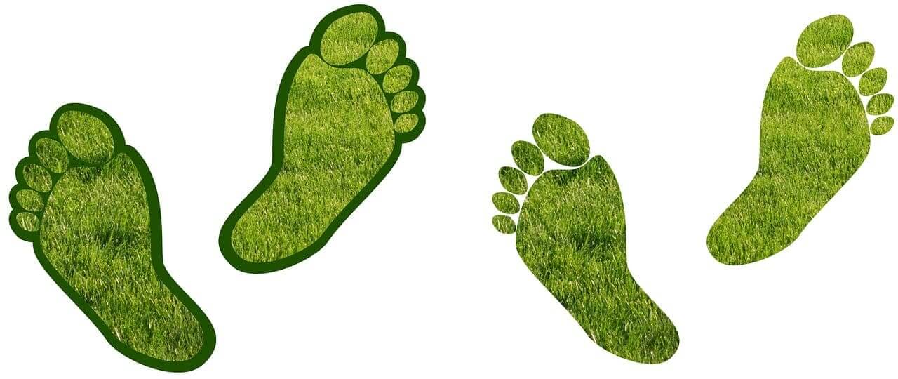 Carbon footprint calculator. Barefoot “footprints” filled with green grass.