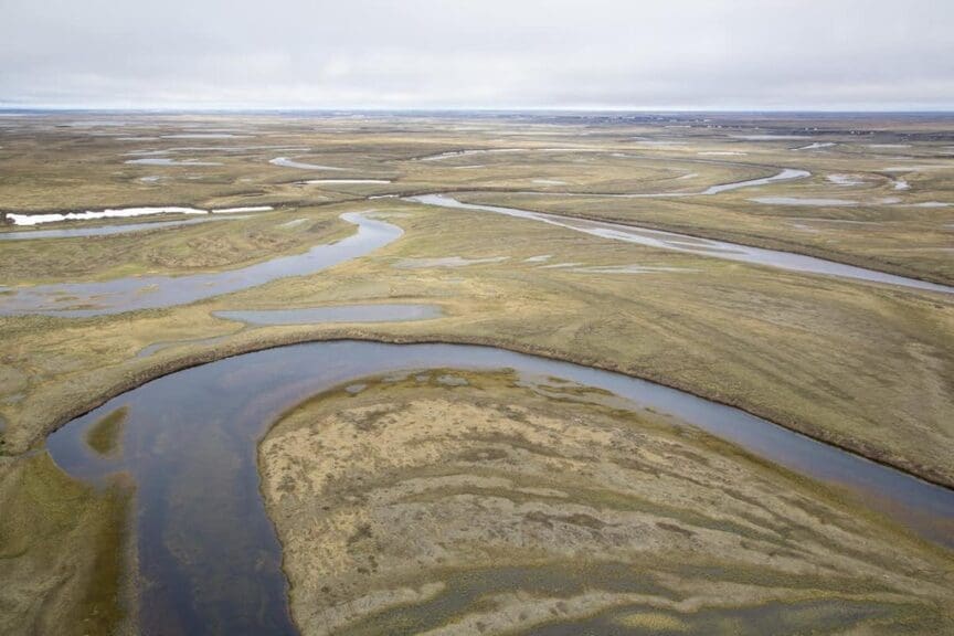National petroleum reserve