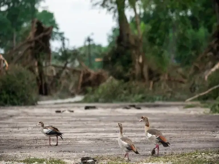 Photos of texas after flash flood