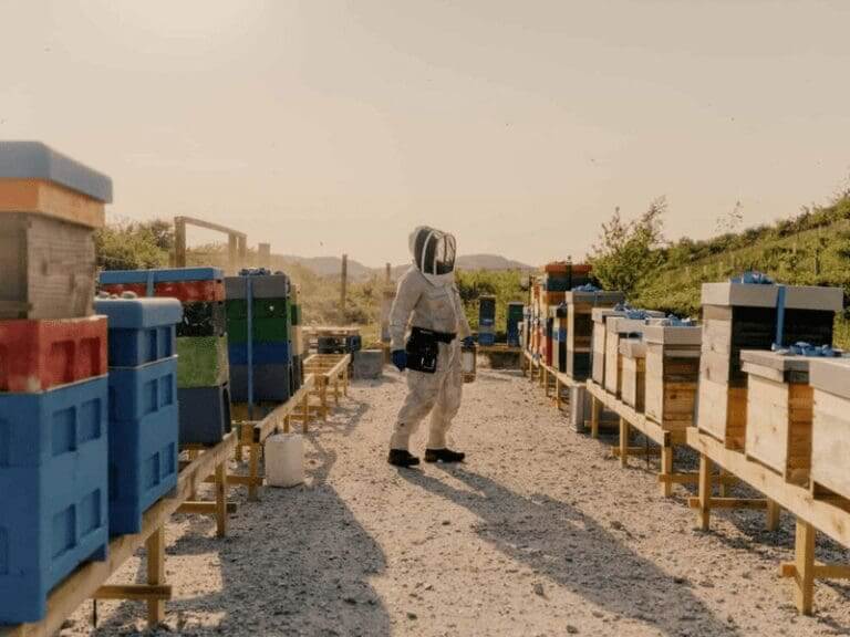 Woman who rescues bees wearing a beekeeper’s protective gear