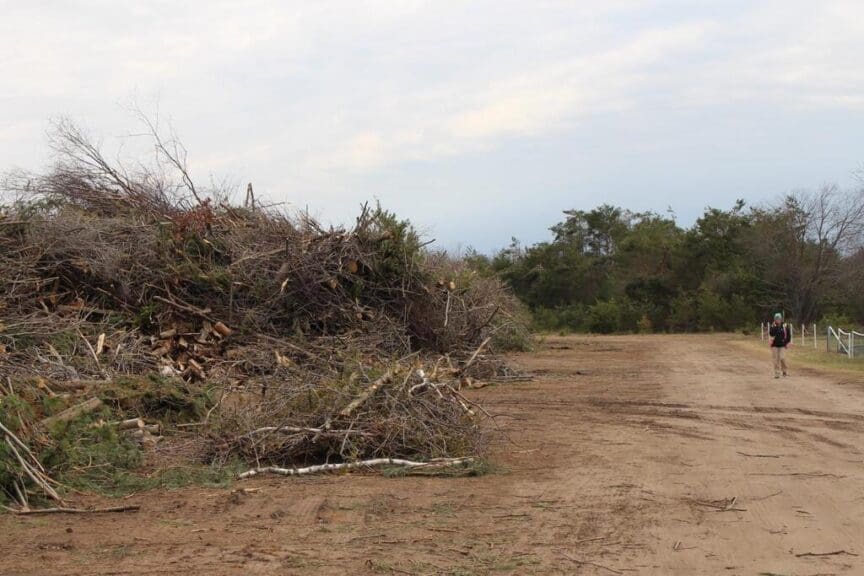 A debris drop-off site