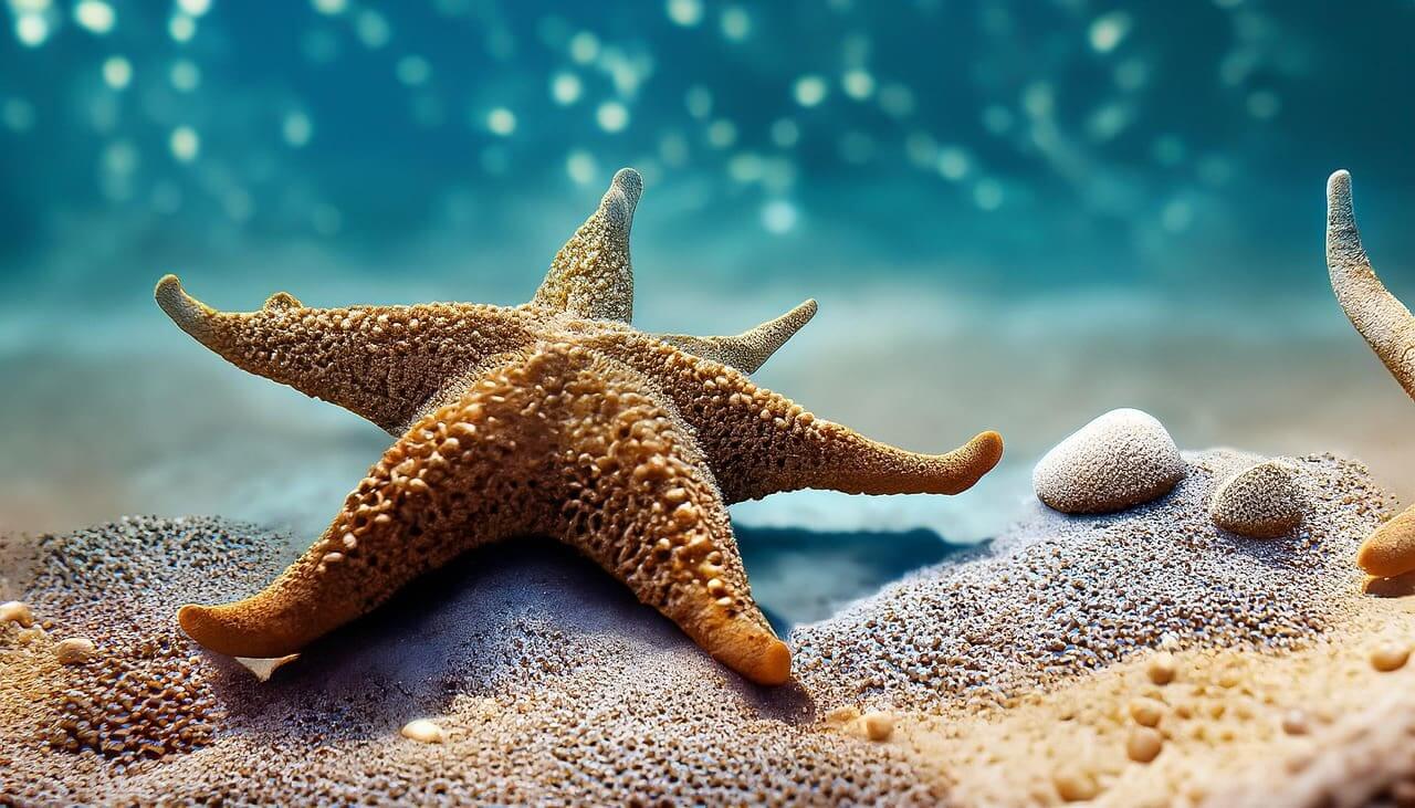 Ai-generated image of a starfish on the beach