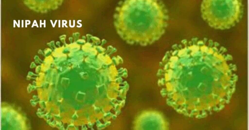 Alexus pittman, staff writer